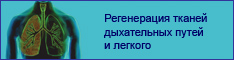 Регенерация тканей дыхательных путей и легкого