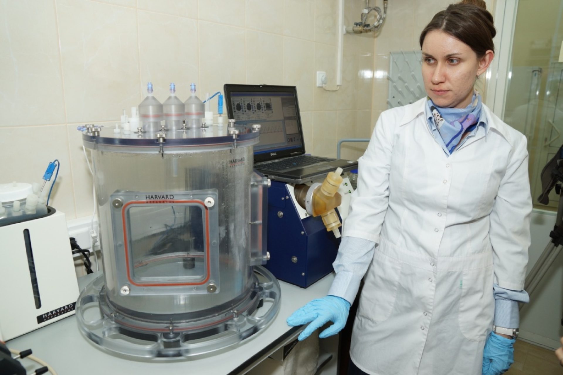 Кубгму дистанционное портал. Кубгму дистанционное портал. Кубгму дистанционное портал. Портал дистанционного обучения кубгму. Кубгму дистанционное портал.