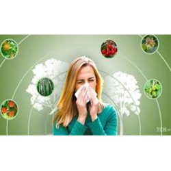 8 июля — День борьбы с аллергией!