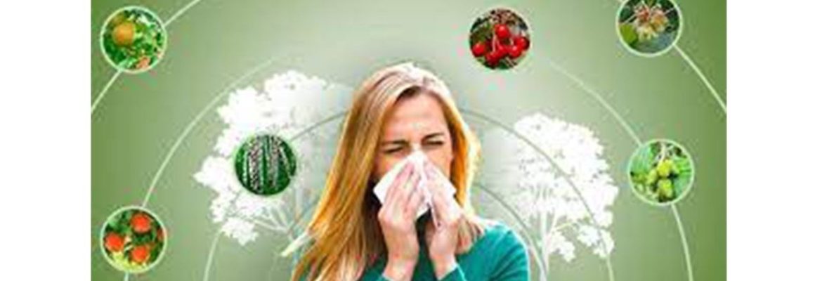 8 июля – День борьбы с аллергией!