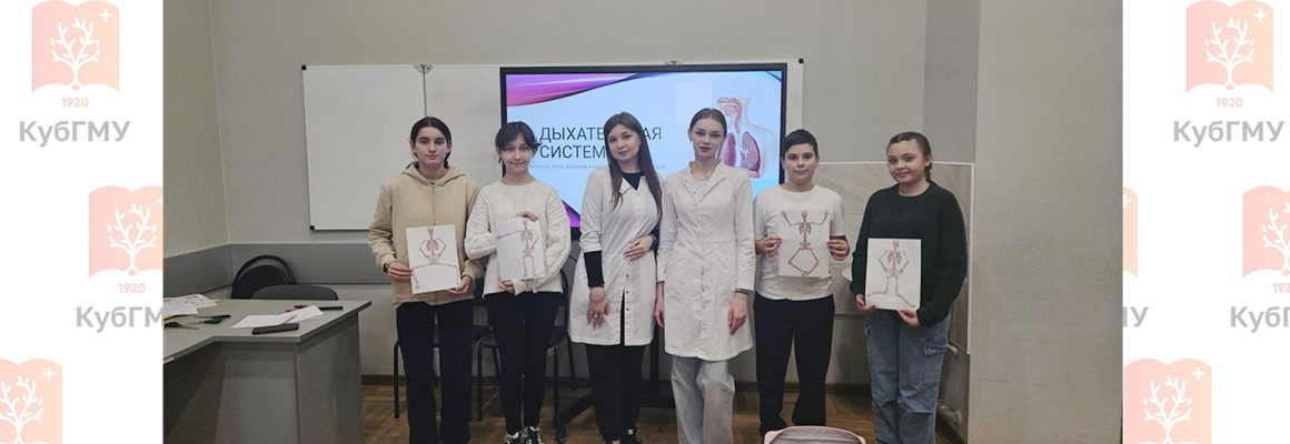 Открылся новый курс «Юный морфолог»