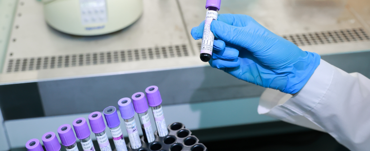 В КубГМУ открывается магистратура по направлению «Биология» с фокусом на регенеративную медицину и тканевую инженерию