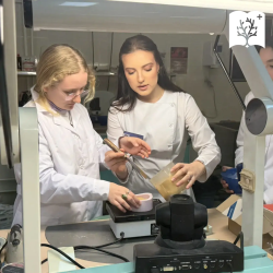 Студенты института СПО КубГМУ выступили наставниками для школьников