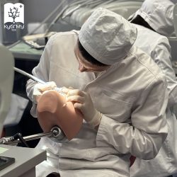 В КубГМУ прошла студенческая олимпиада по эндодонтии и реставрации